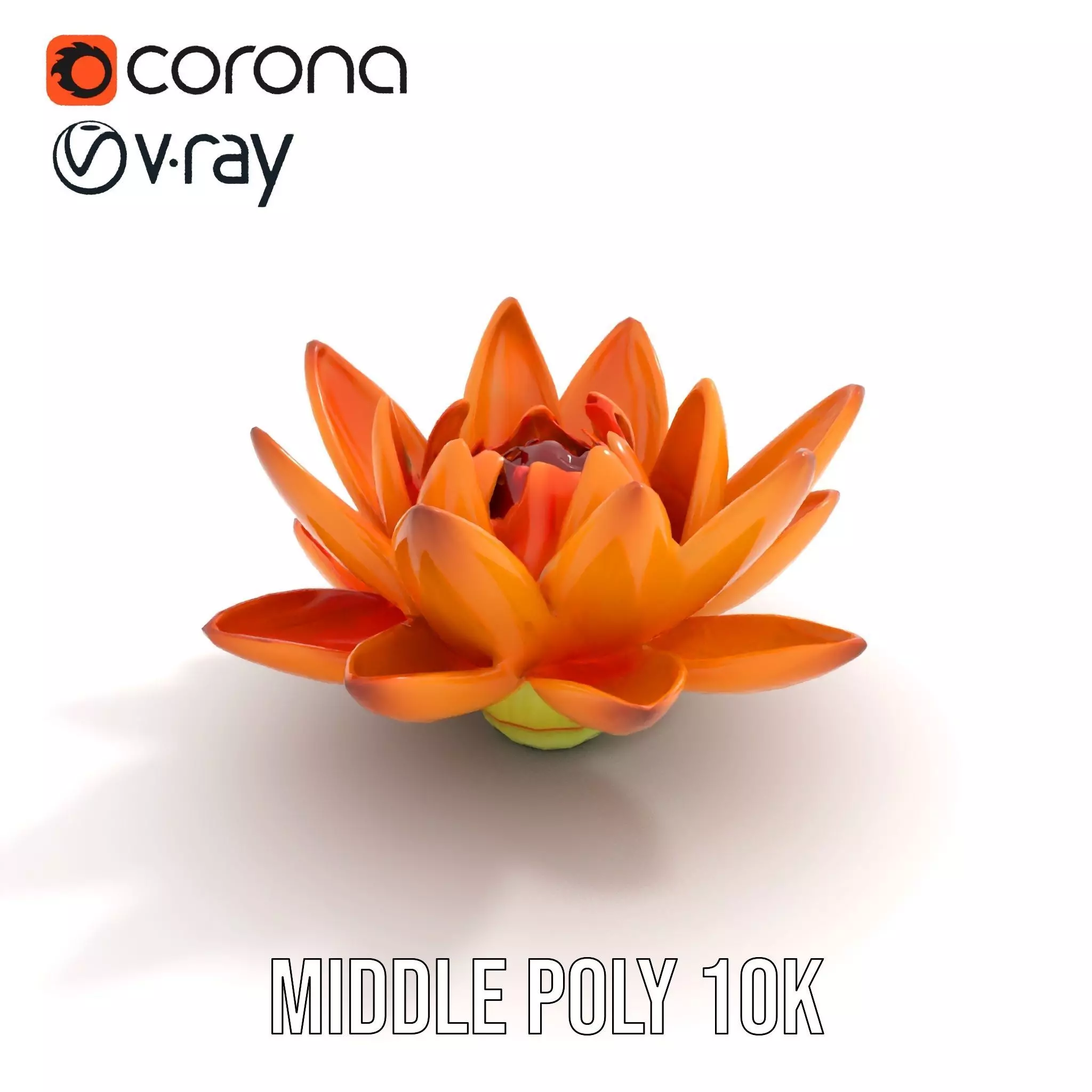 Vibrant Lotus Bloom model pack Low-poly 3D model_16