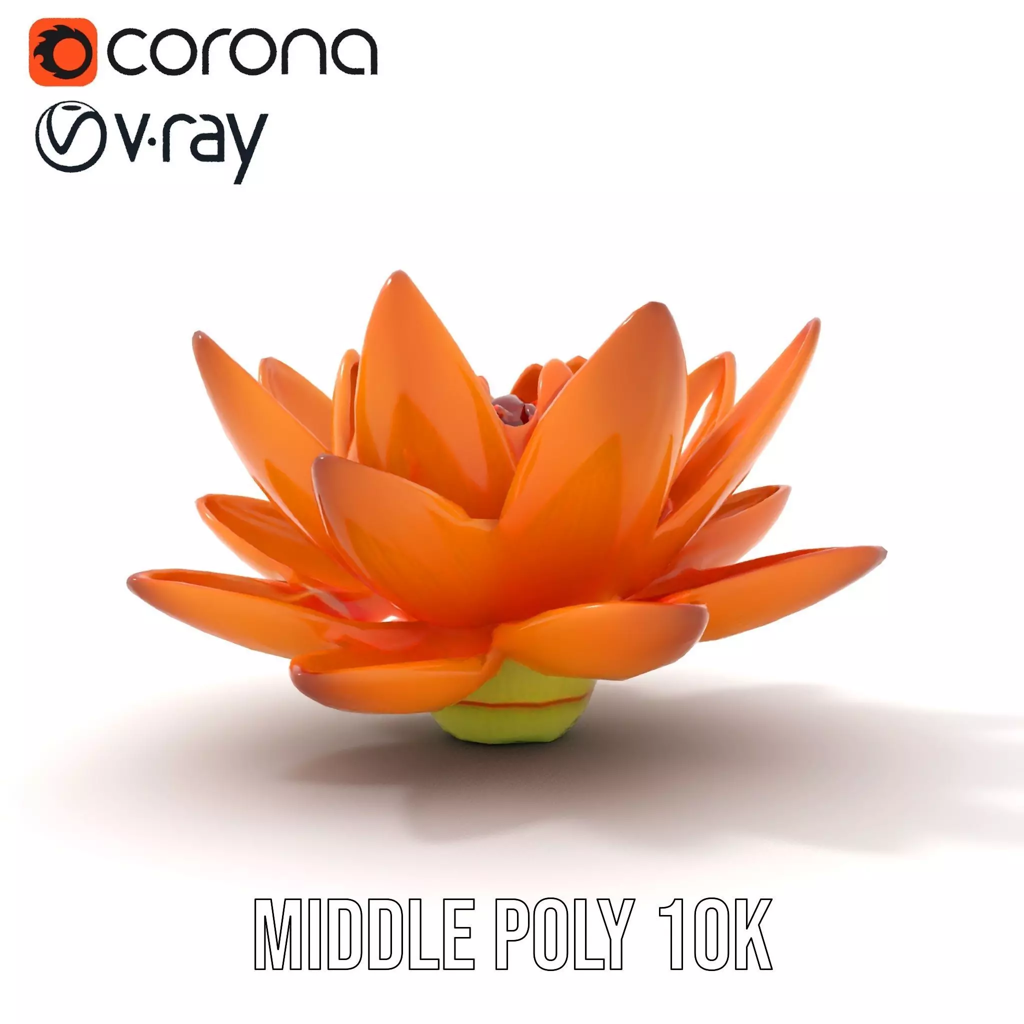 Vibrant Lotus Bloom model pack Low-poly 3D model_11