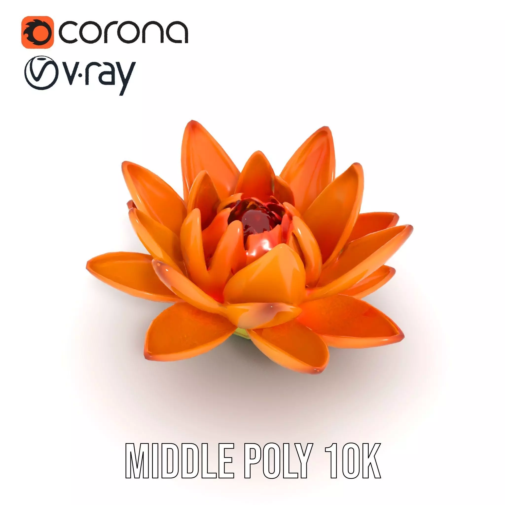 Vibrant Lotus Bloom model pack Low-poly 3D model_6