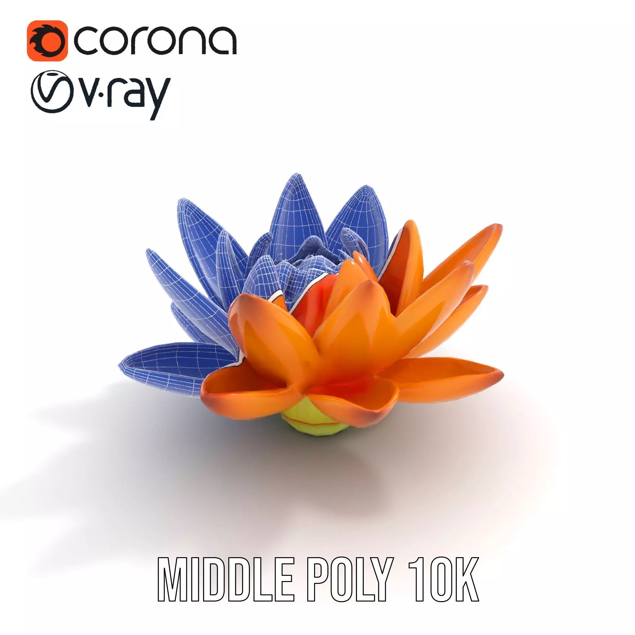 Vibrant Lotus Bloom model pack Low-poly 3D model_19