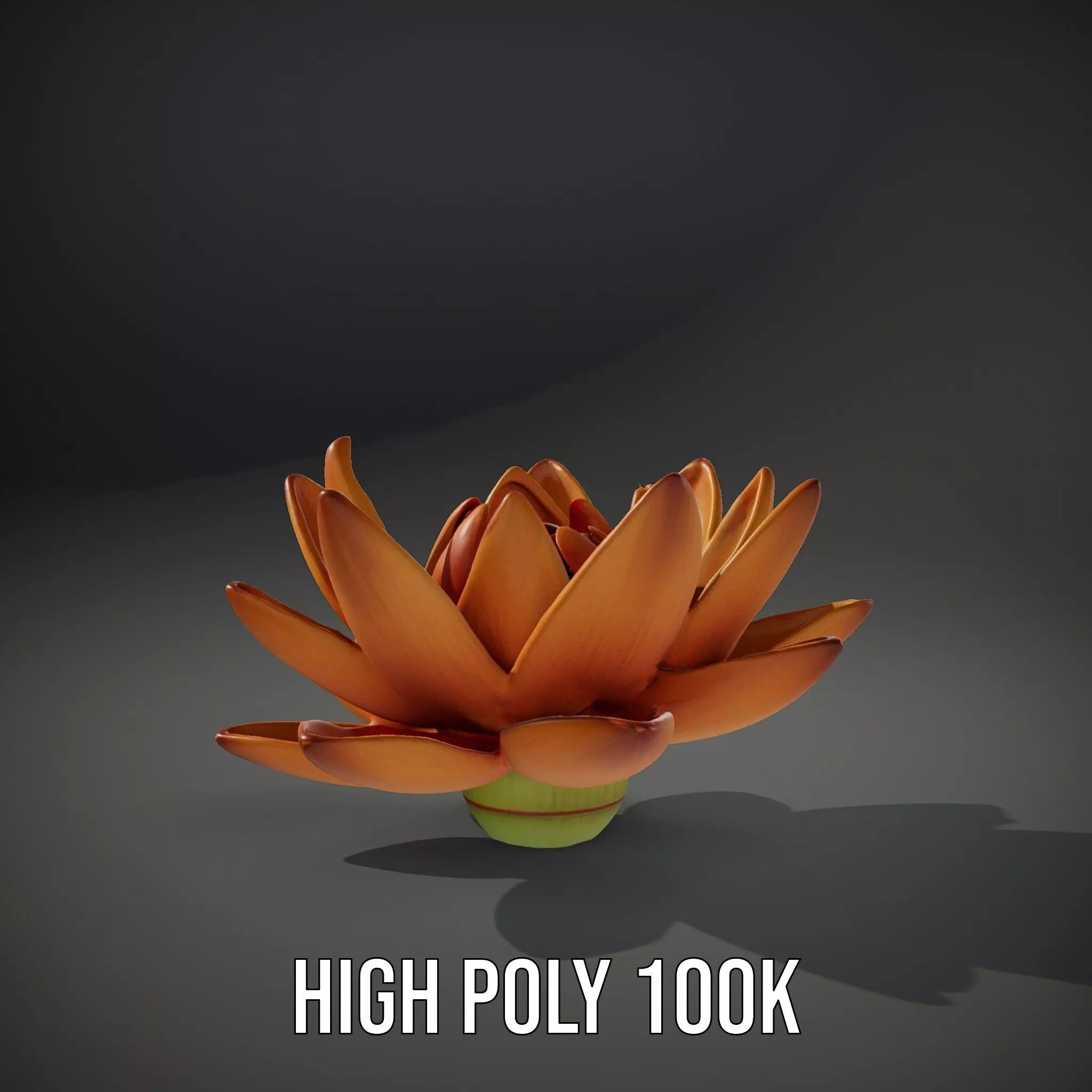 Vibrant Lotus Bloom model pack Low-poly 3D model_24