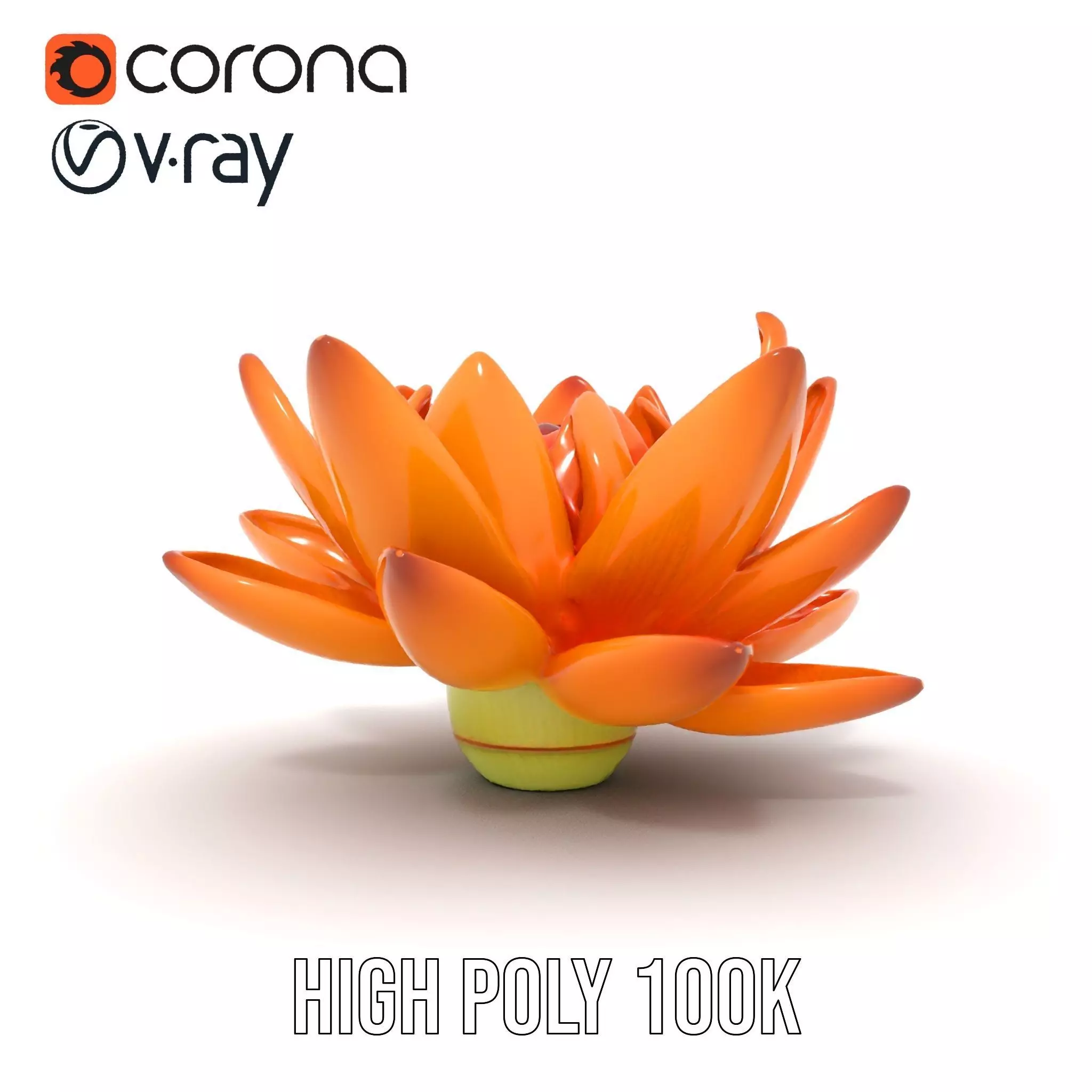Vibrant Lotus Bloom model pack Low-poly 3D model_15