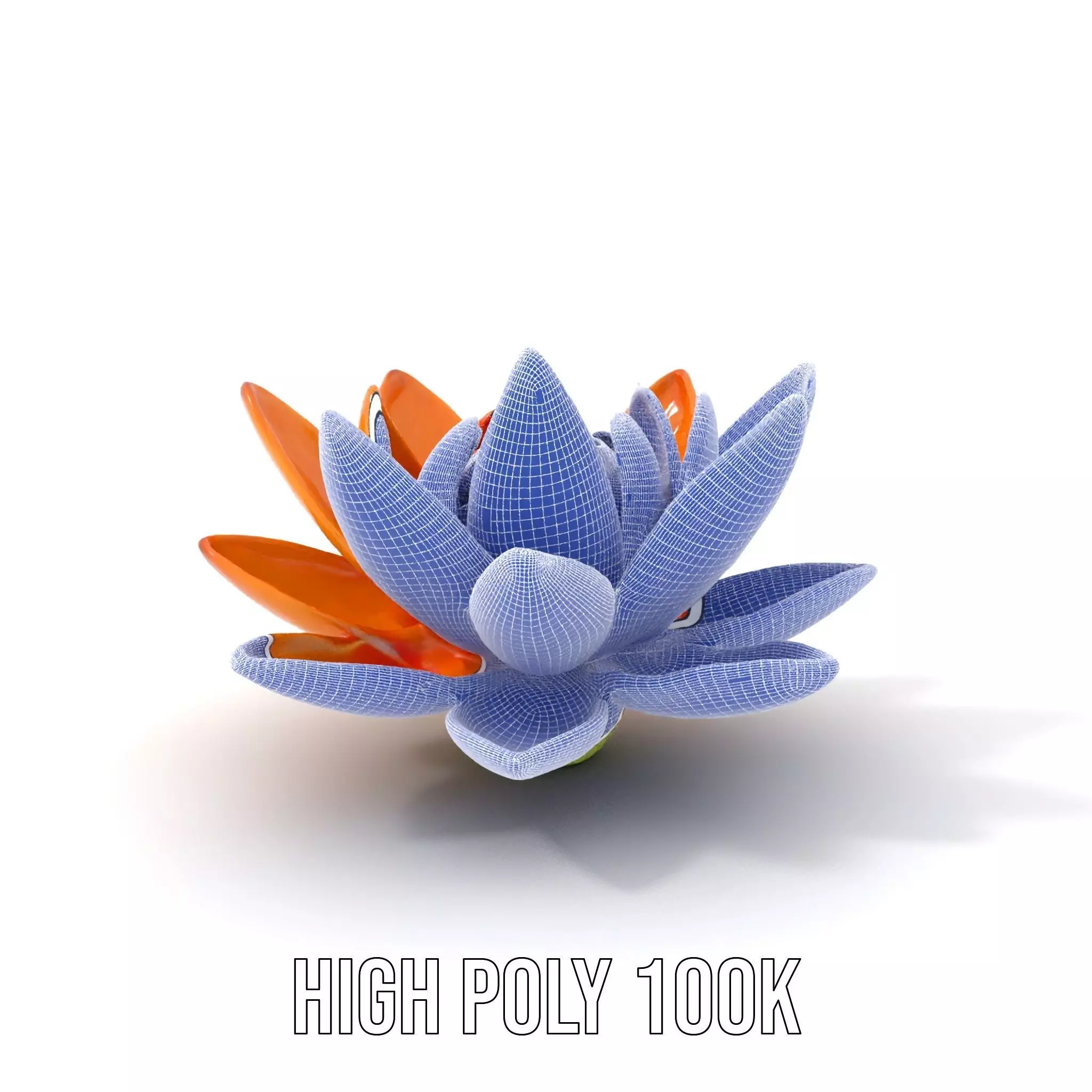 Vibrant Lotus Bloom model pack Low-poly 3D model_5