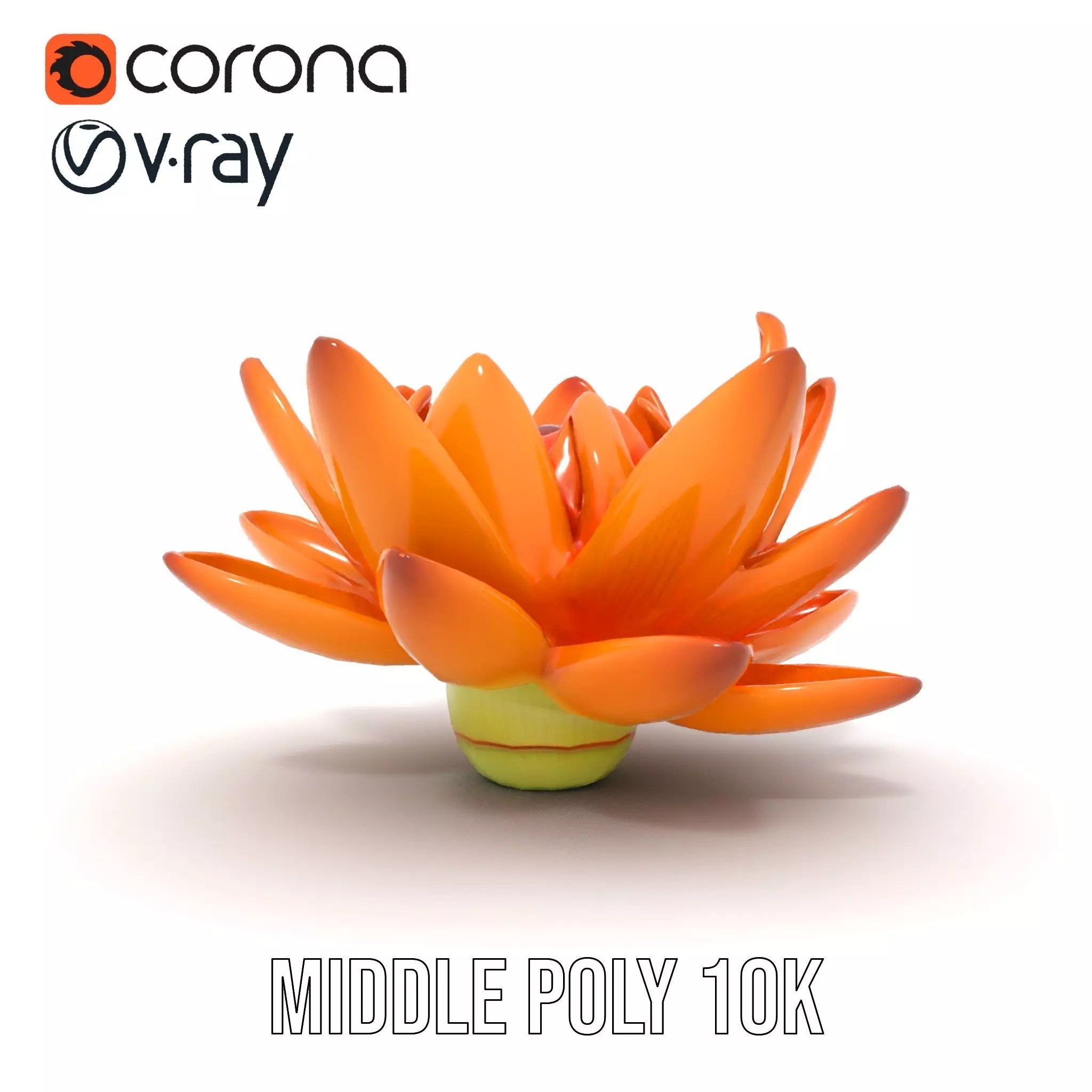 Vibrant Lotus Bloom model pack Low-poly 3D model_7