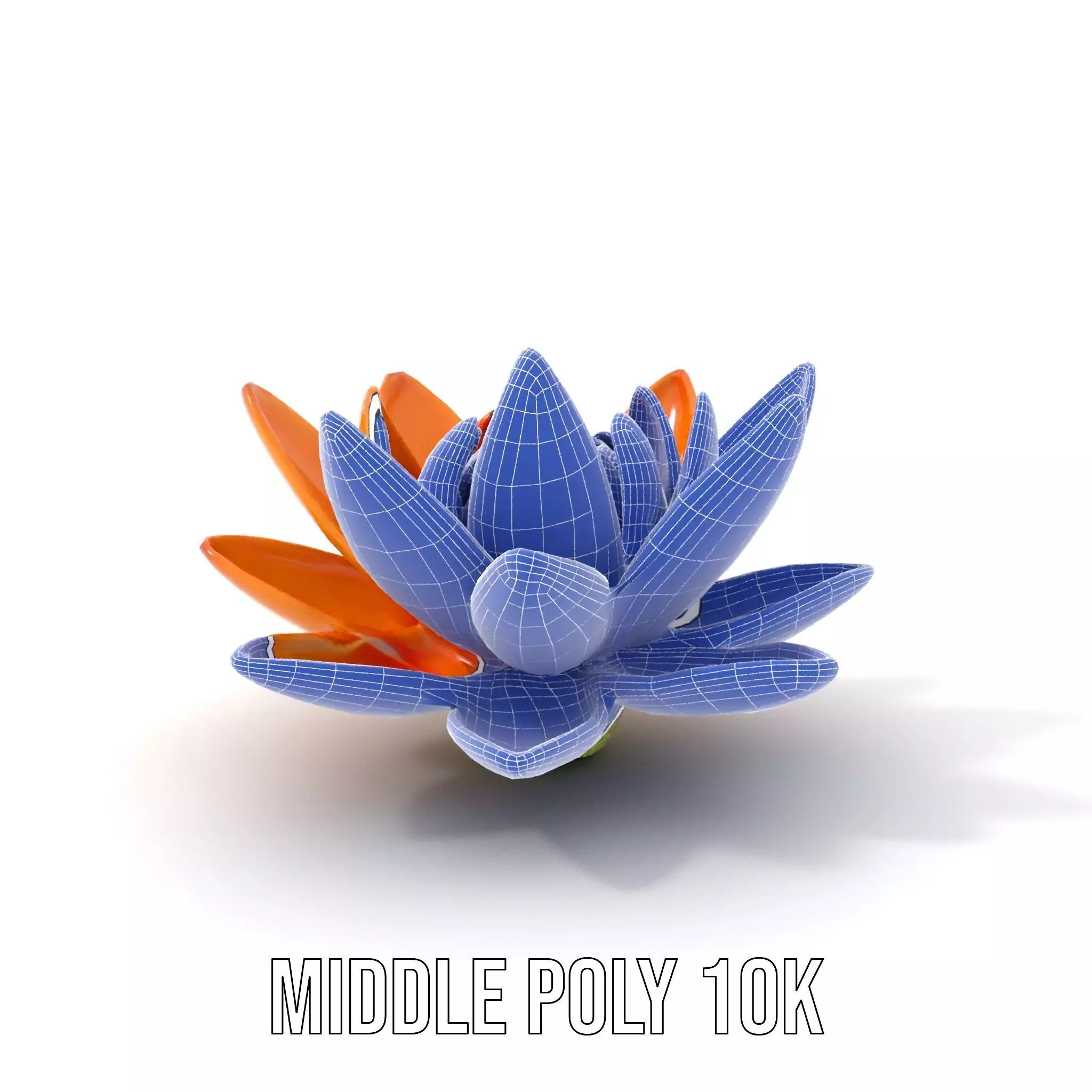 Vibrant Lotus Bloom model pack Low-poly 3D model_13