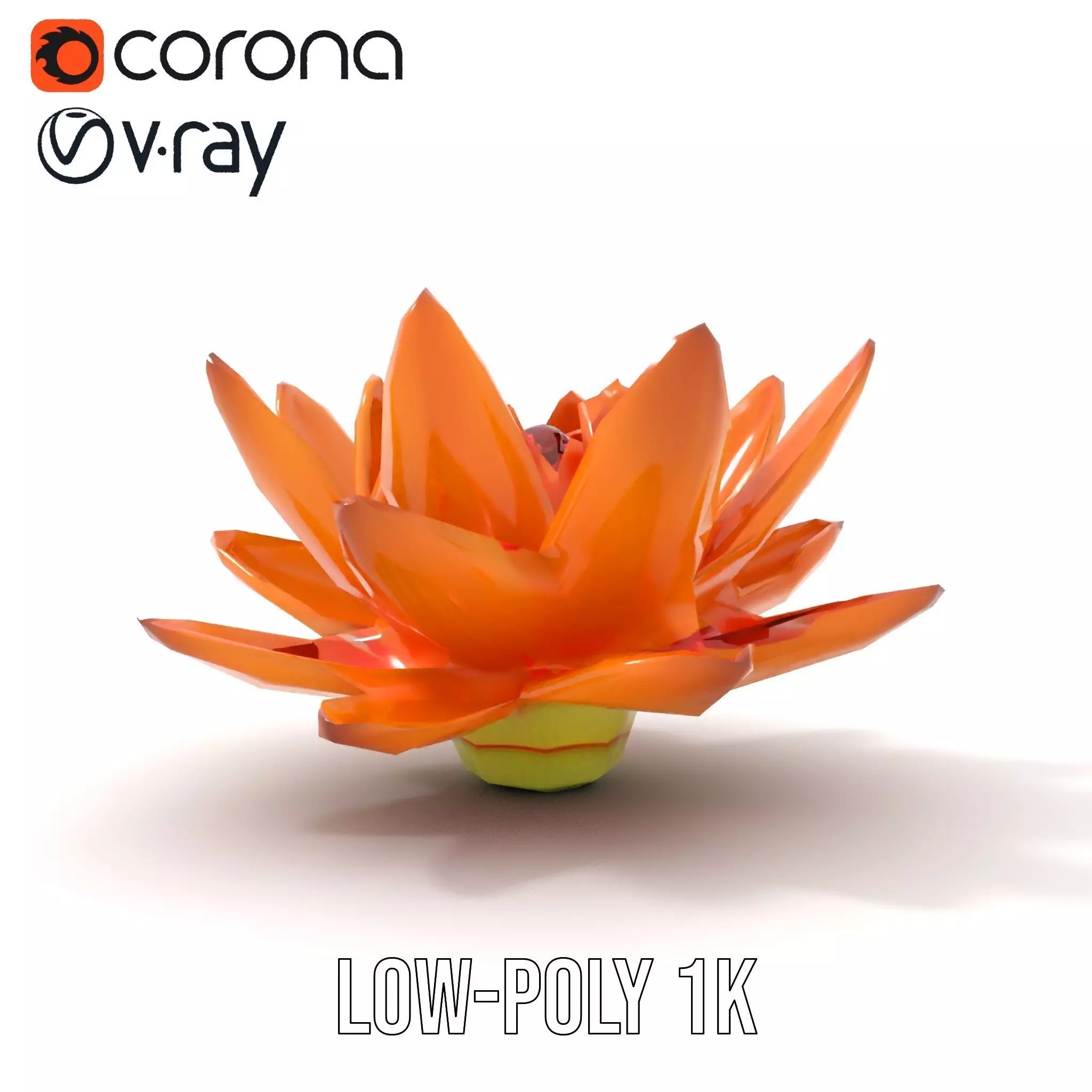 Vibrant Lotus Bloom model pack Low-poly 3D model_8
