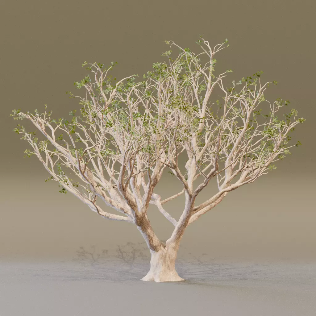 Red Coral 3D model_7