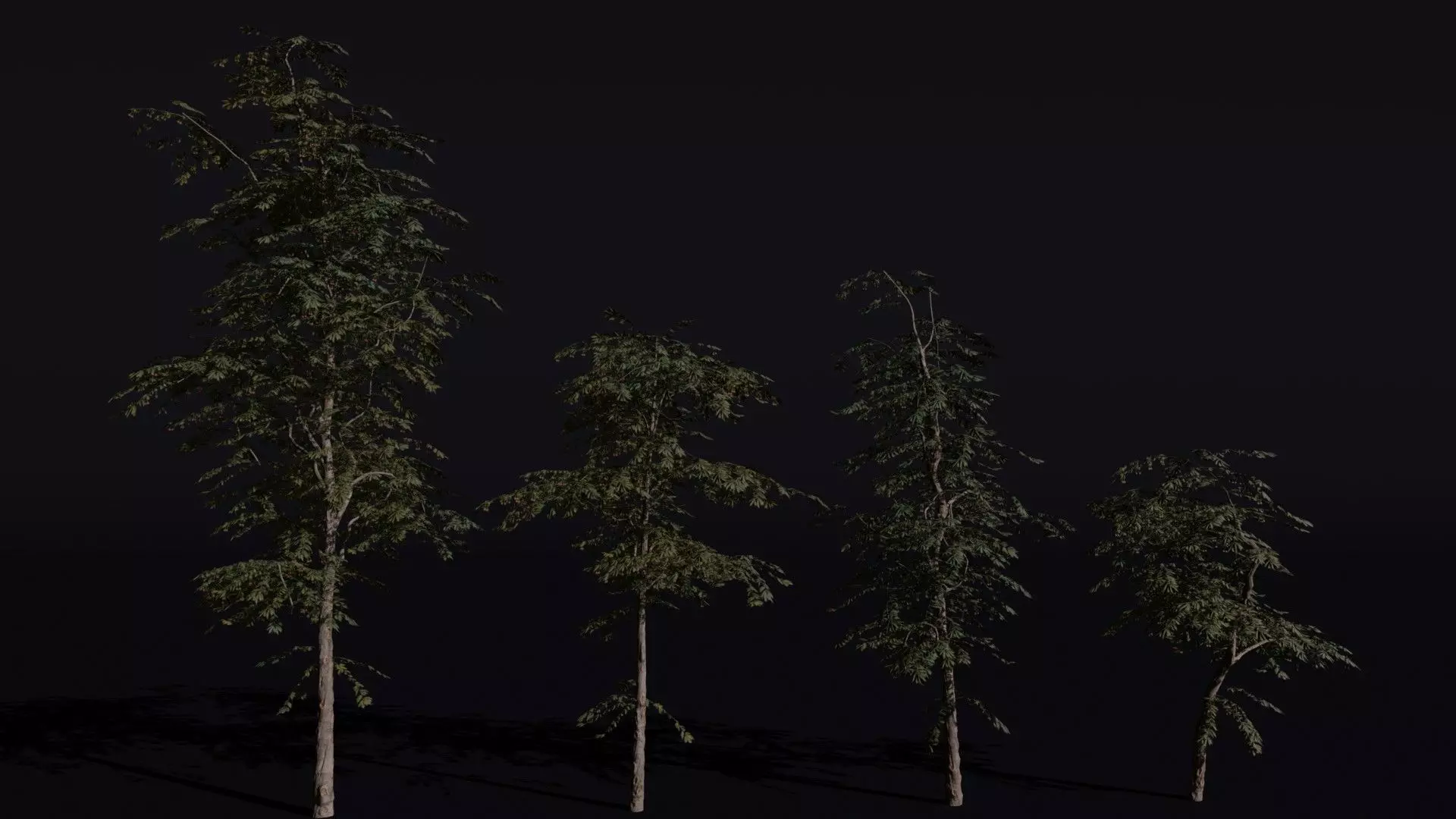 Red Cherry 3D model_0