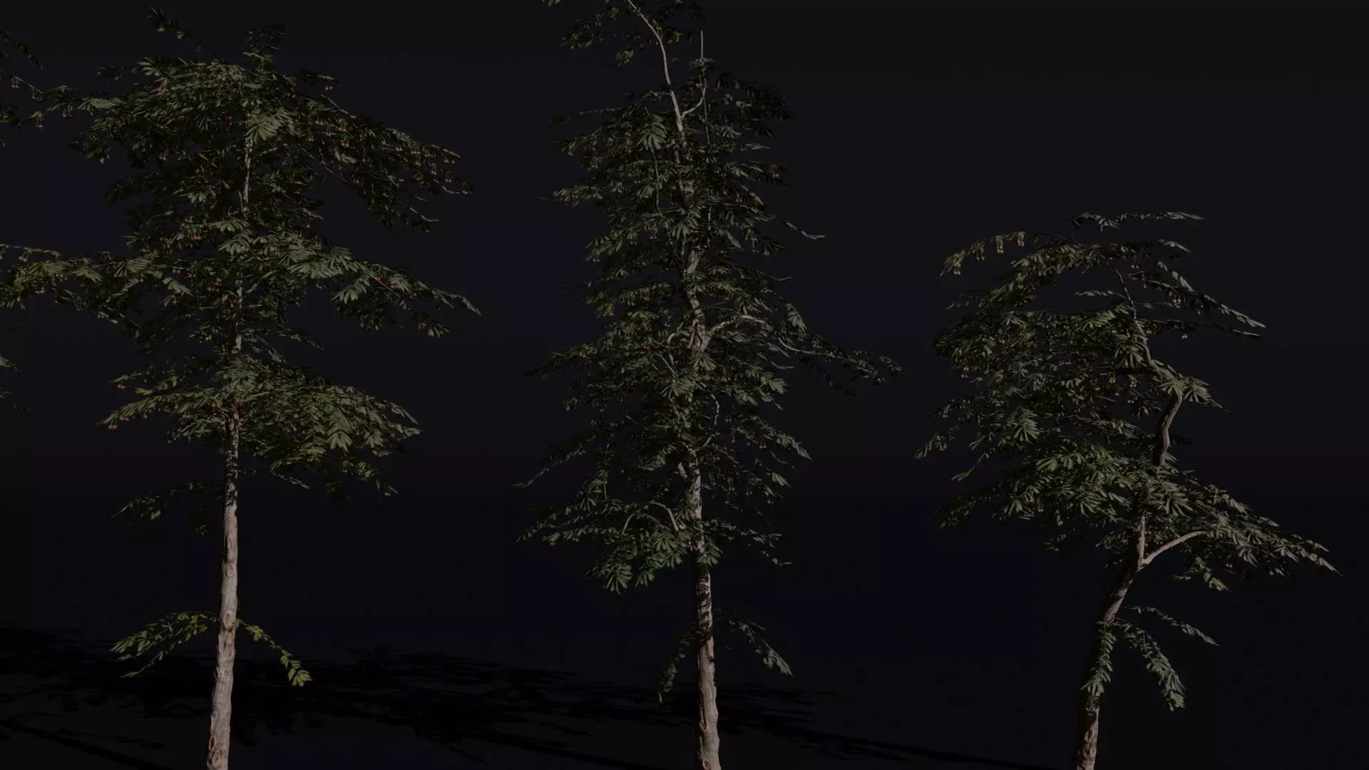 Red Cherry 3D model_1