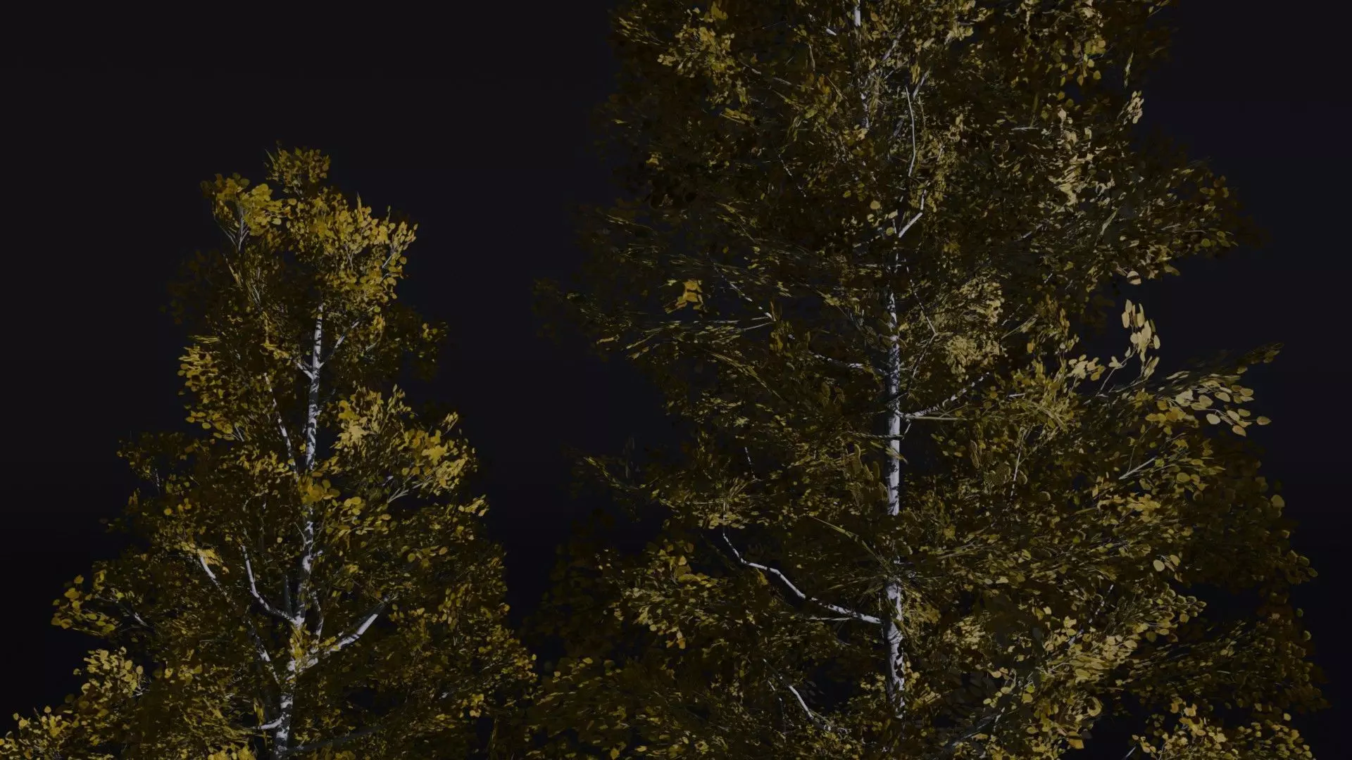 Quacking Aspen 3D model_2