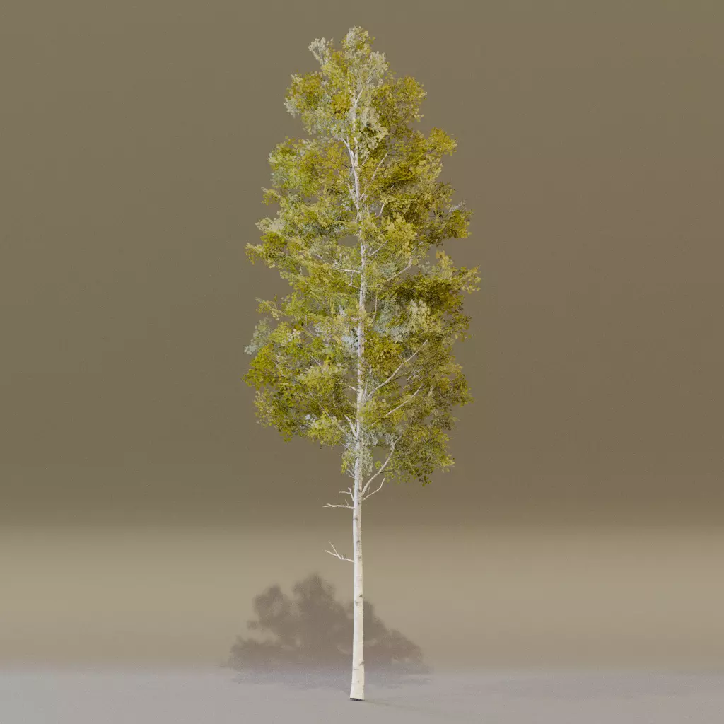 Quacking Aspen 3D model_3