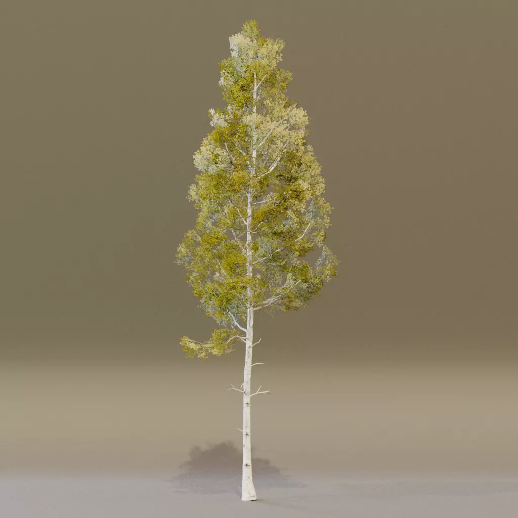 Quacking Aspen 3D model_4