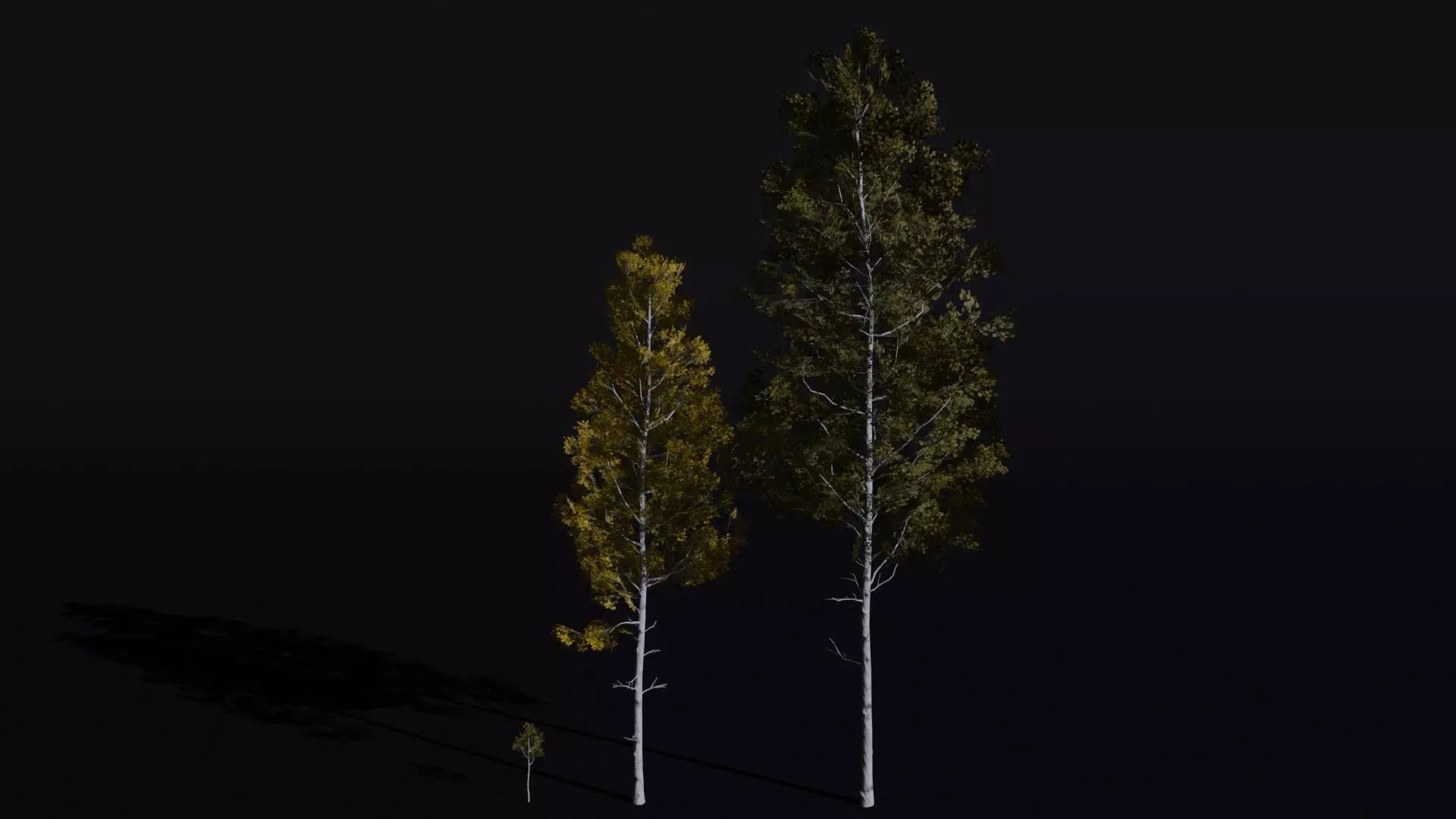 Quacking Aspen 3D model_0