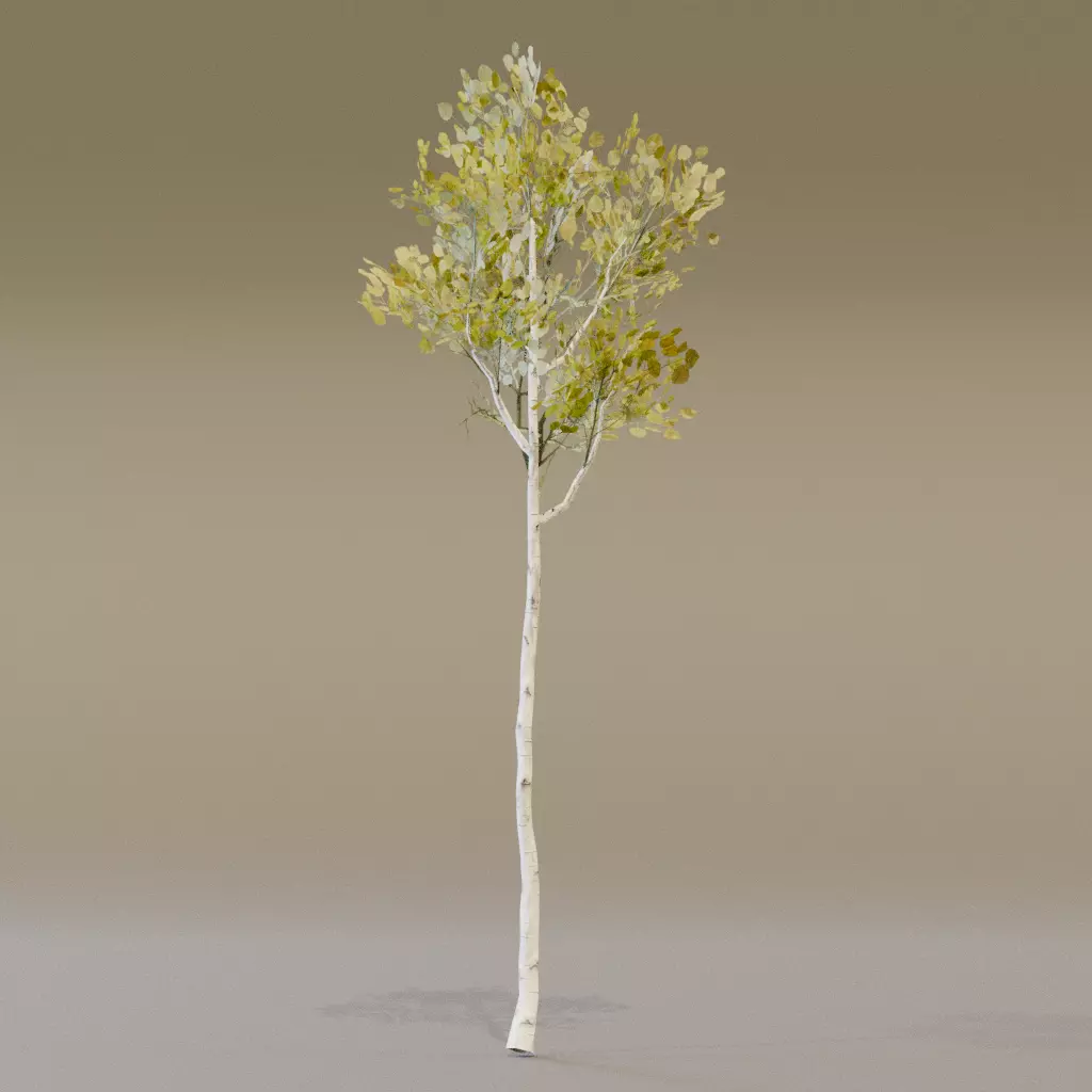 Quacking Aspen 3D model_5