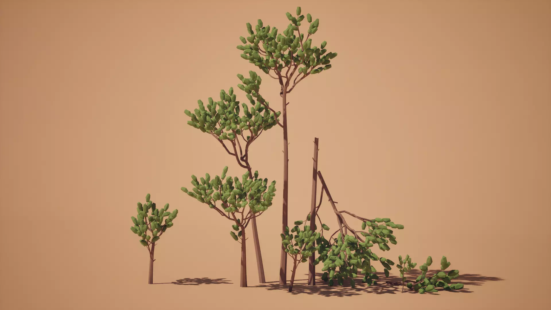 Low Poly Pine Trees - UE5 Low-poly 3D model_6