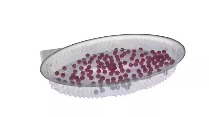 candy in transparent box