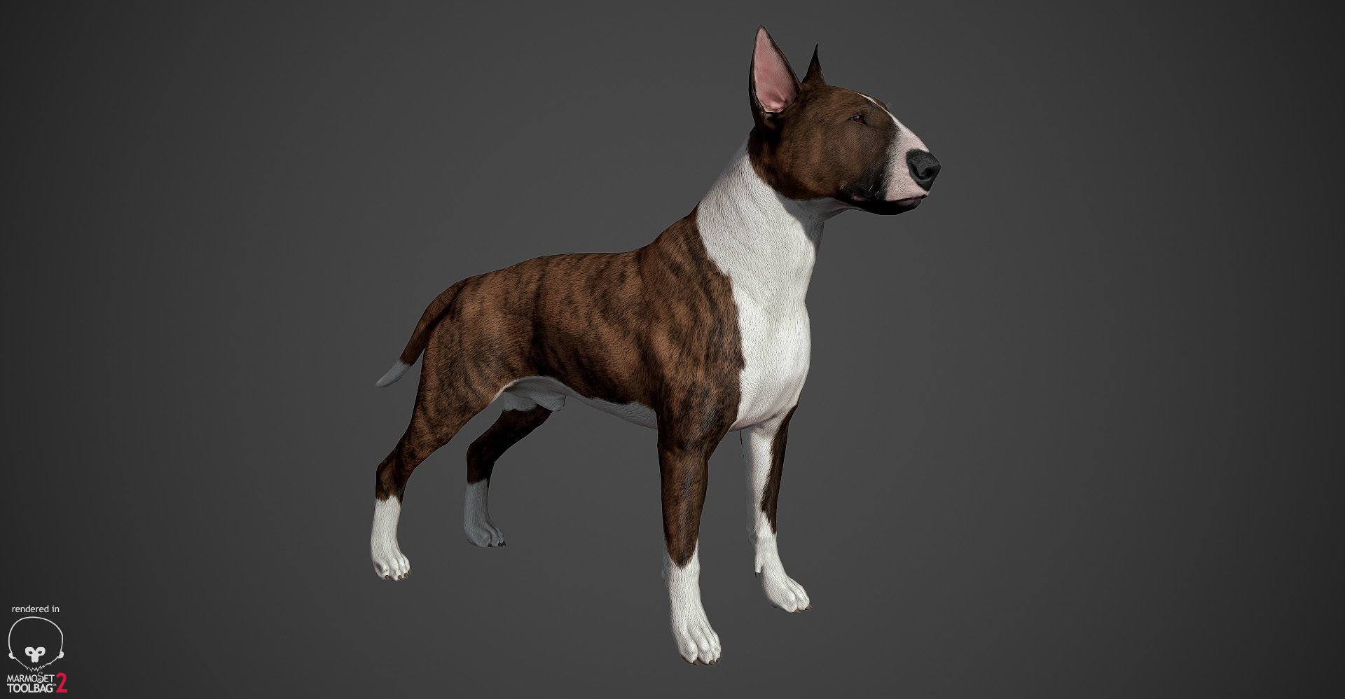 Guard Dog Pack Low-poly 3D model_16