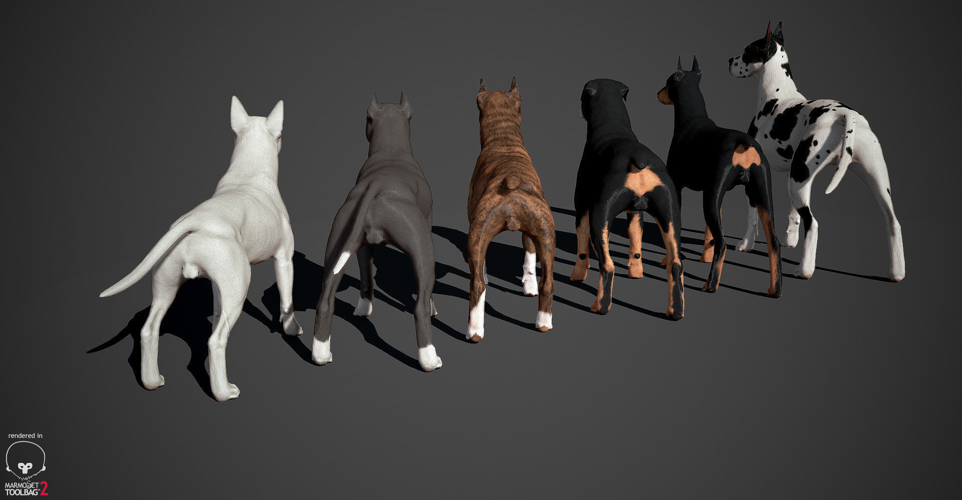 Guard Dog Pack Low-poly 3D model_2