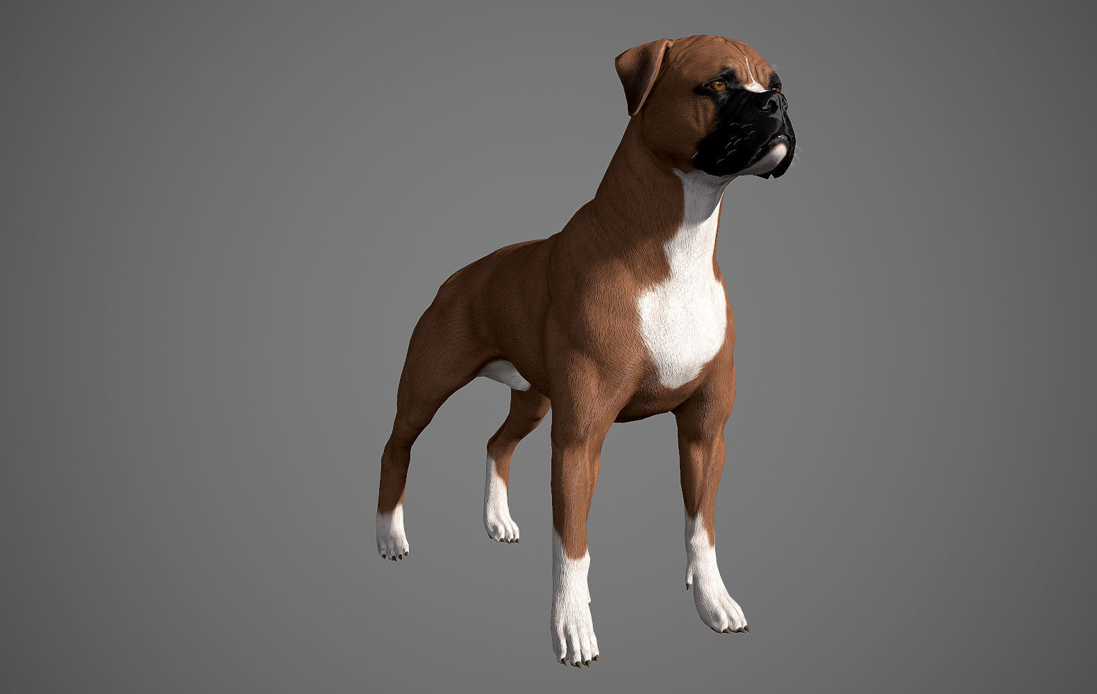Guard Dog Pack Low-poly 3D model_11
