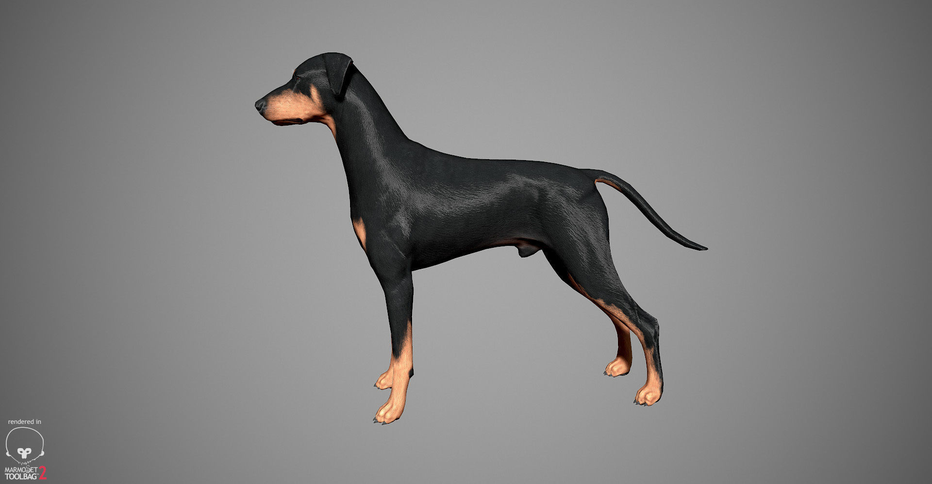 Guard Dog Pack Low-poly 3D model_20