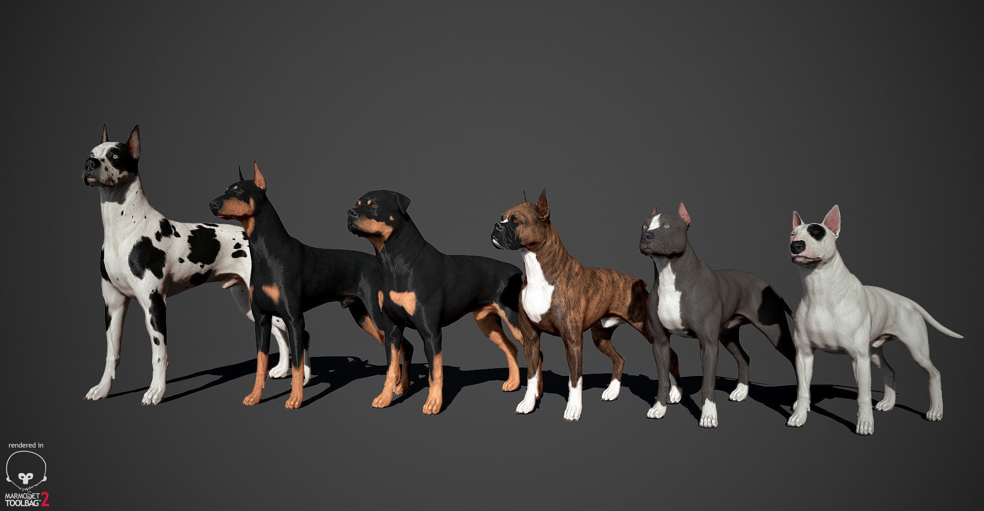 Guard Dog Pack Low-poly 3D model_1