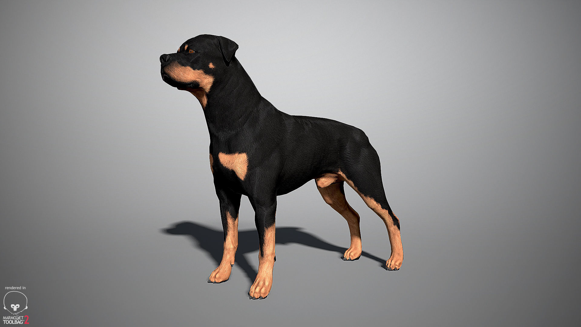 Guard Dog Pack Low-poly 3D model_6