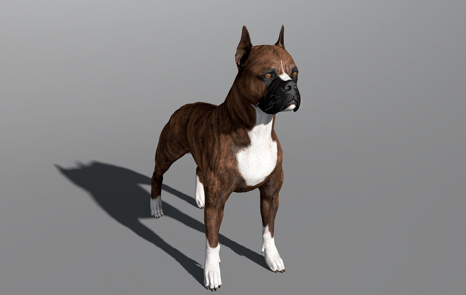 Guard Dog Pack Low-poly 3D model_10