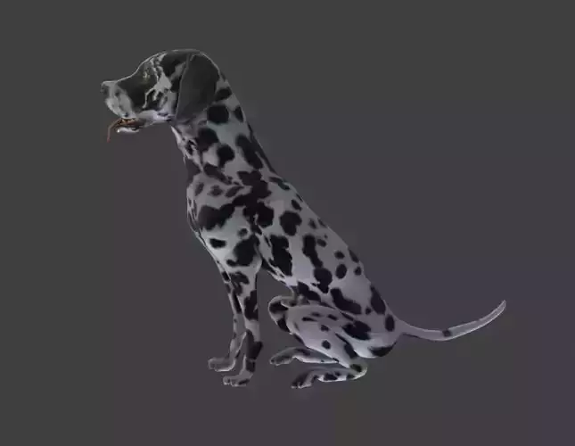3D Dalmatian Model with Animations