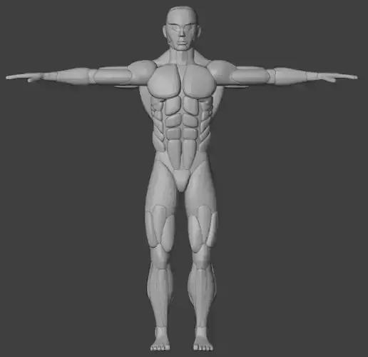 Male Body blockout to Practice Sculpting Free 3D model