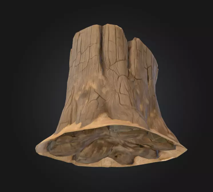 Weathered Old Tree Stump Low-poly 3D model_10