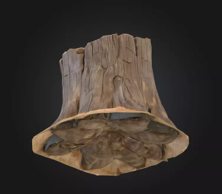Weathered Old Tree Stump Low-poly 3D model_13
