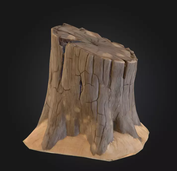Weathered Old Tree Stump Low-poly 3D model_6