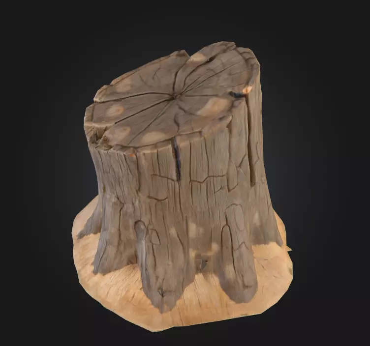 Weathered Old Tree Stump Low-poly 3D model_2