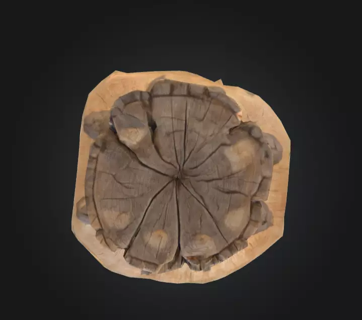 Weathered Old Tree Stump Low-poly 3D model_7
