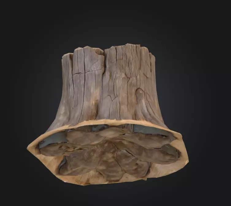 Weathered Old Tree Stump Low-poly 3D model_8