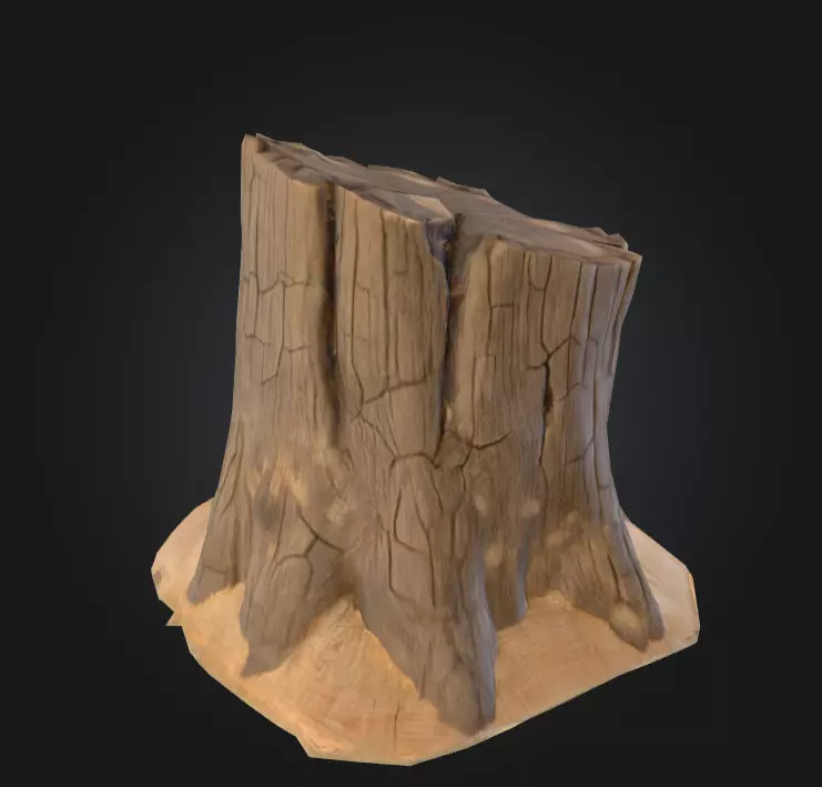 Weathered Old Tree Stump Low-poly 3D model_5