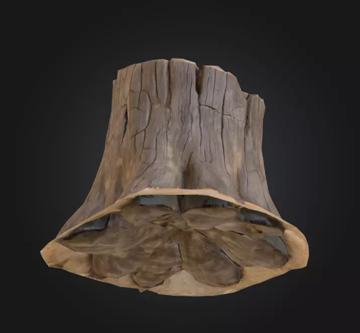 Weathered Old Tree Stump Low-poly 3D model_12