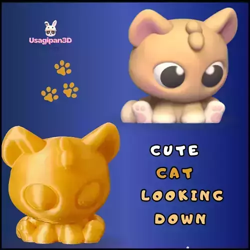 Cute Cat Looking Down