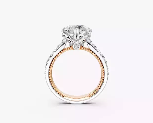 Cathedral Engagement Ring-rj025