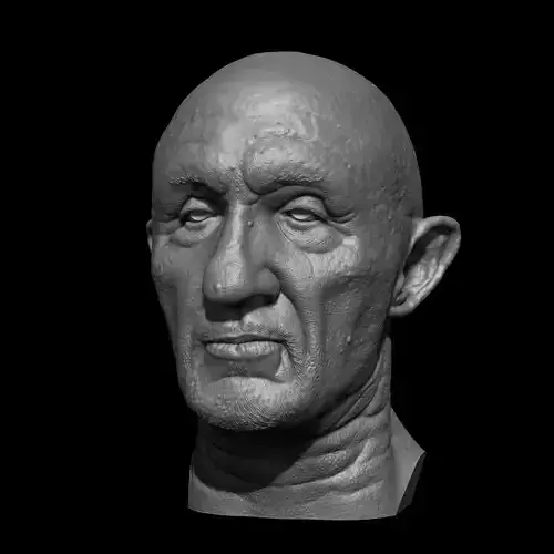 Mike Ehrmantraut Bust Breaking Bad Printable 3D Model