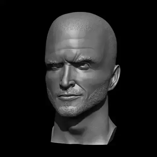 Jesse Pinkman Bust Printable 3D Model  Breaking Bad