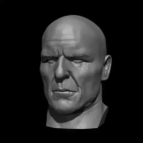 Hank Schrader Breaking Bad Bust 3D Printable Model