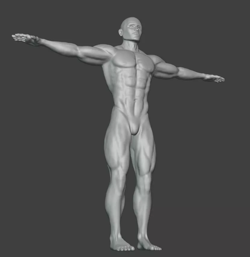 Male Basemesh Free 3D model_2