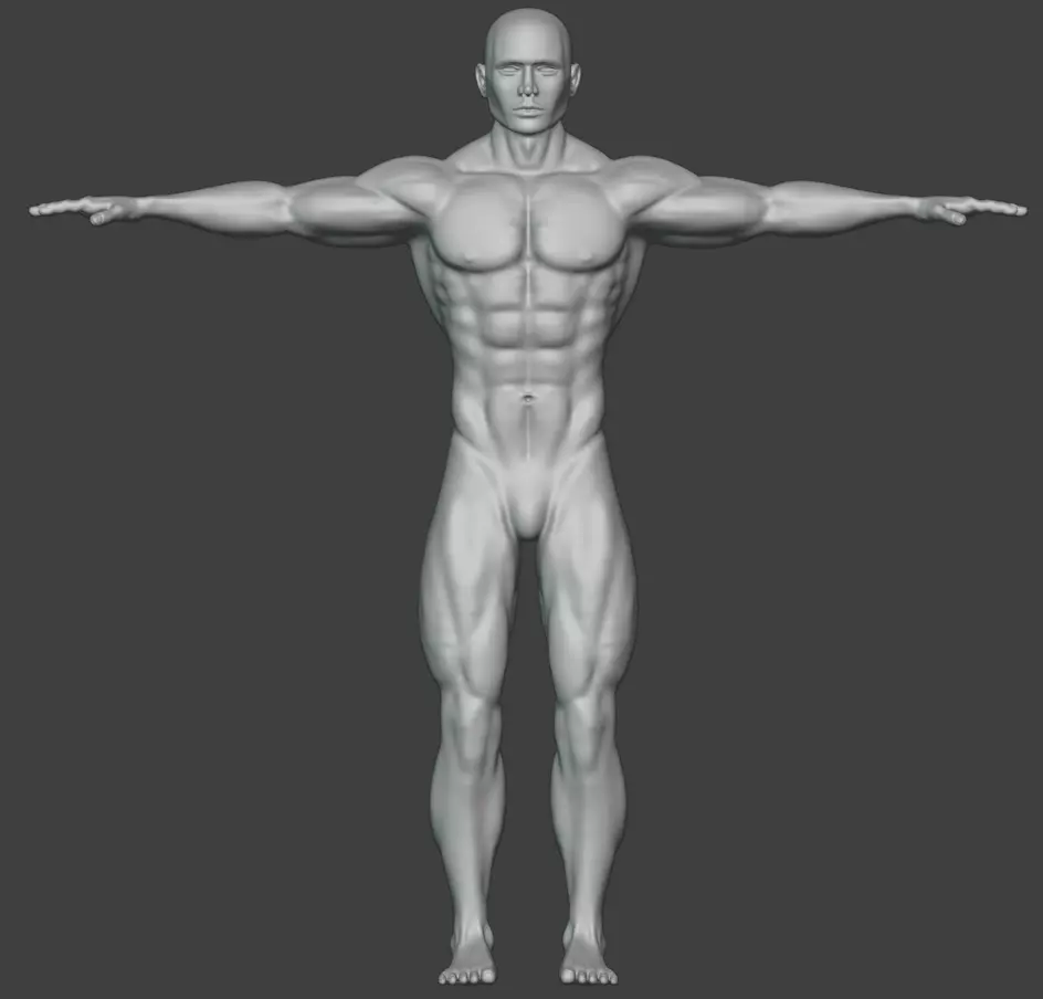 Male Basemesh Free 3D model_0