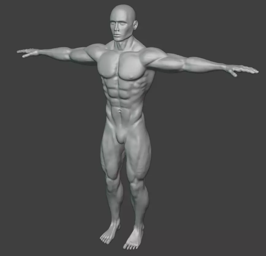 Male Basemesh Free 3D model_1