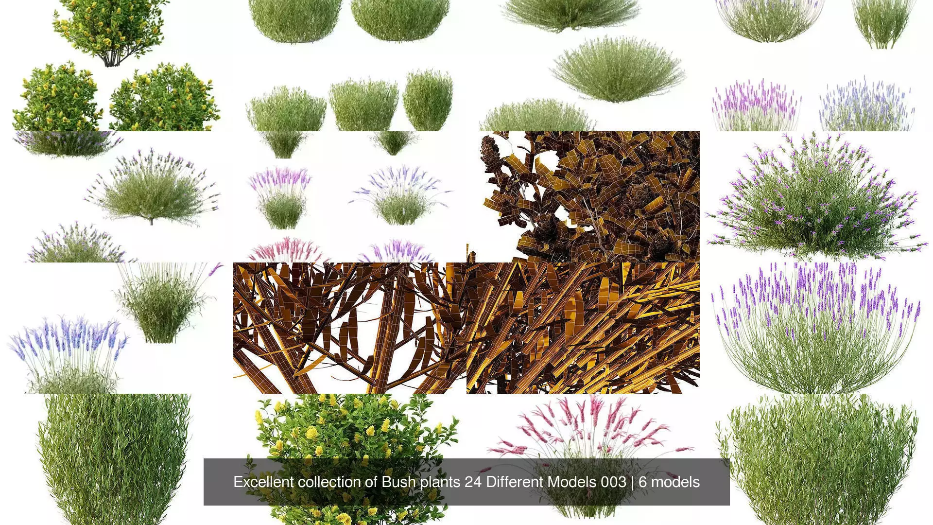 Excellent collection of Bush plants 24 Different Models 003 _1