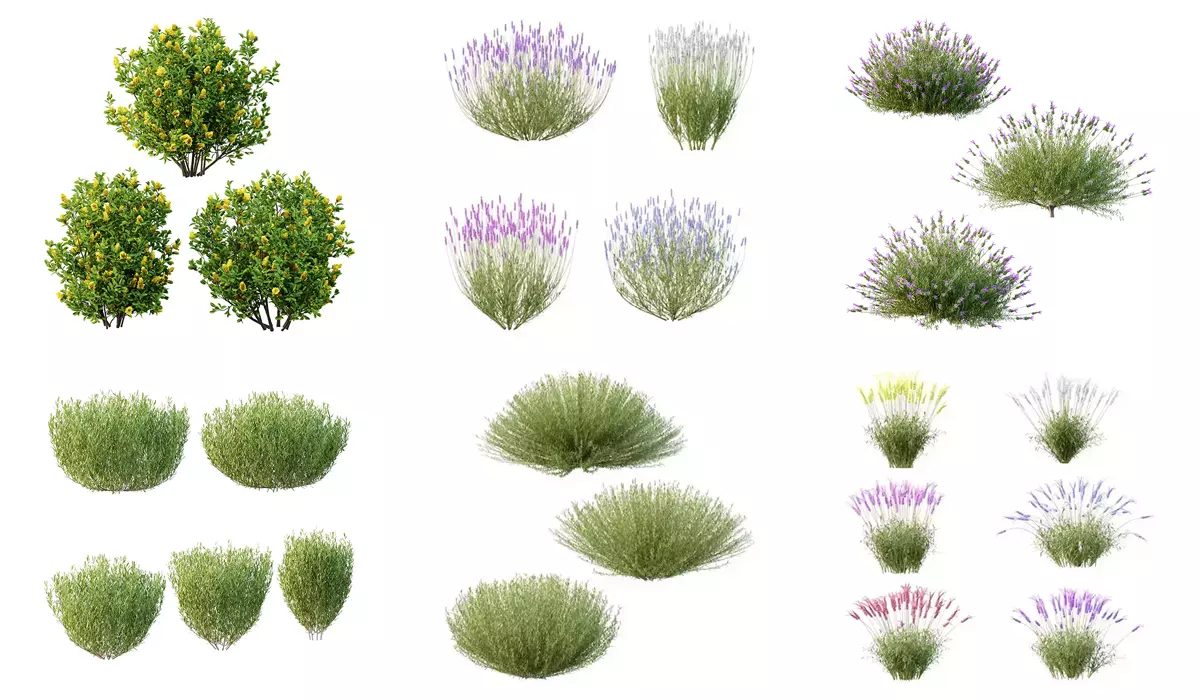 Excellent collection of Bush plants 24 Different Models 003 _0