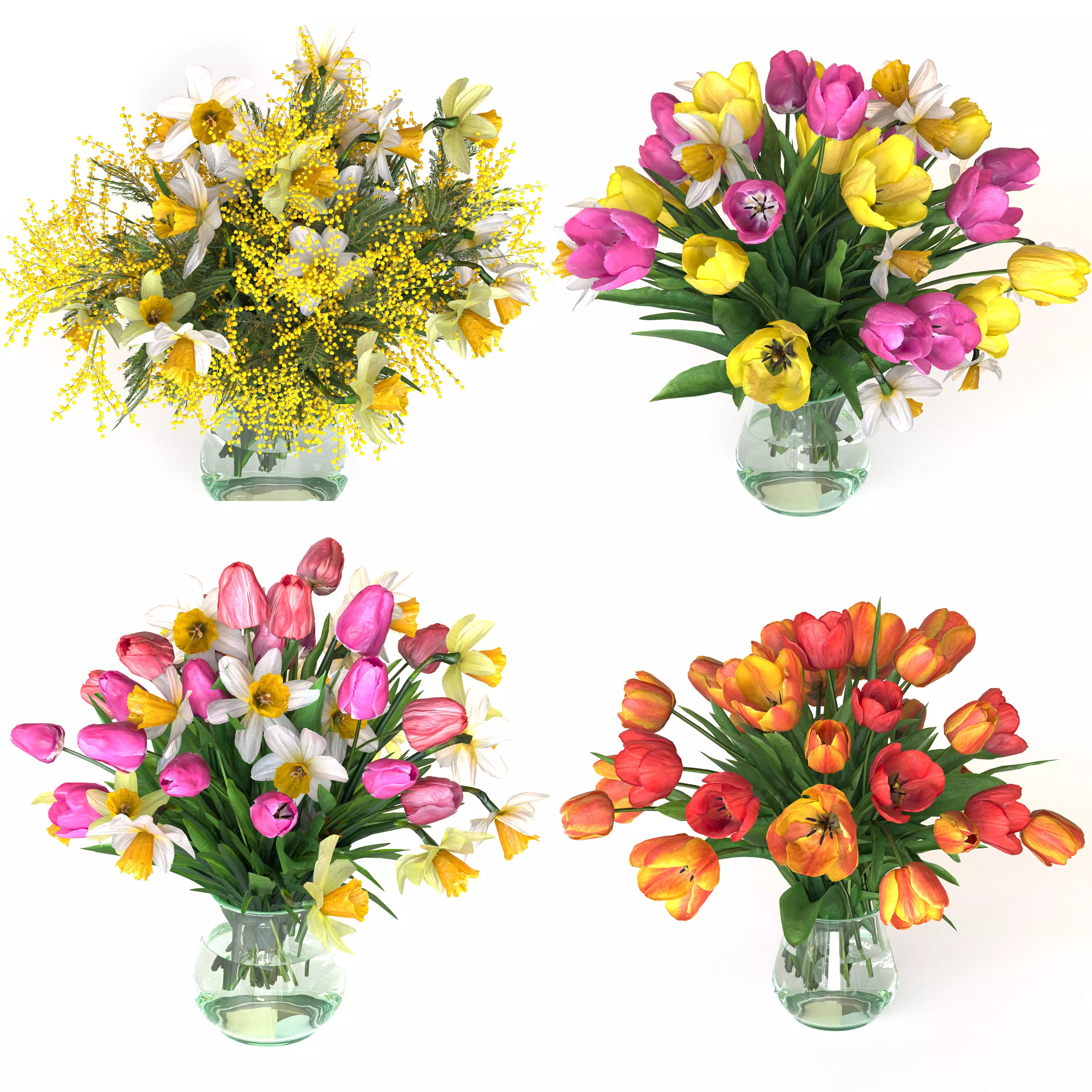 Bouquets of tulips and Narcissuses 3D model_5