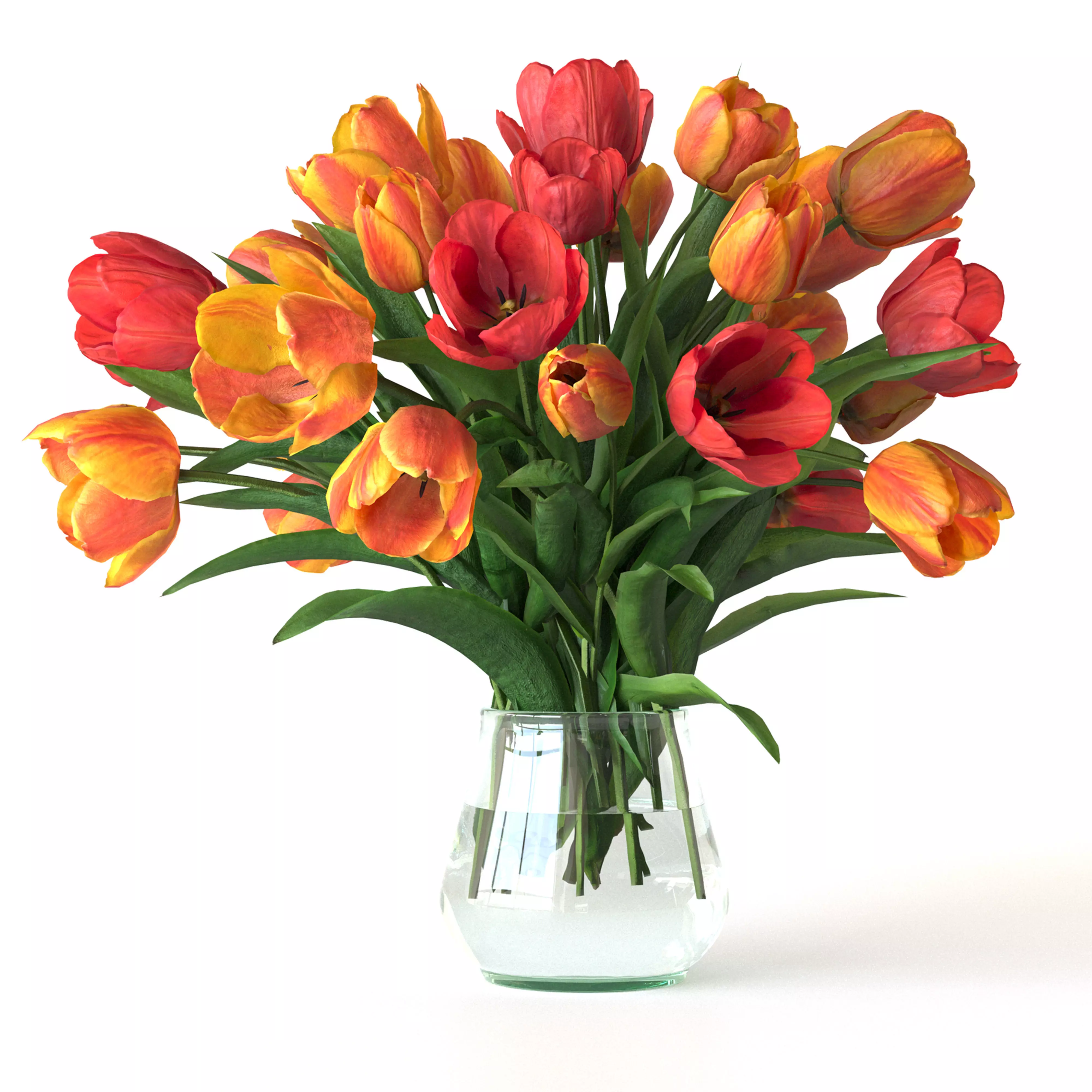 Bouquets of tulips and Narcissuses 3D model_1