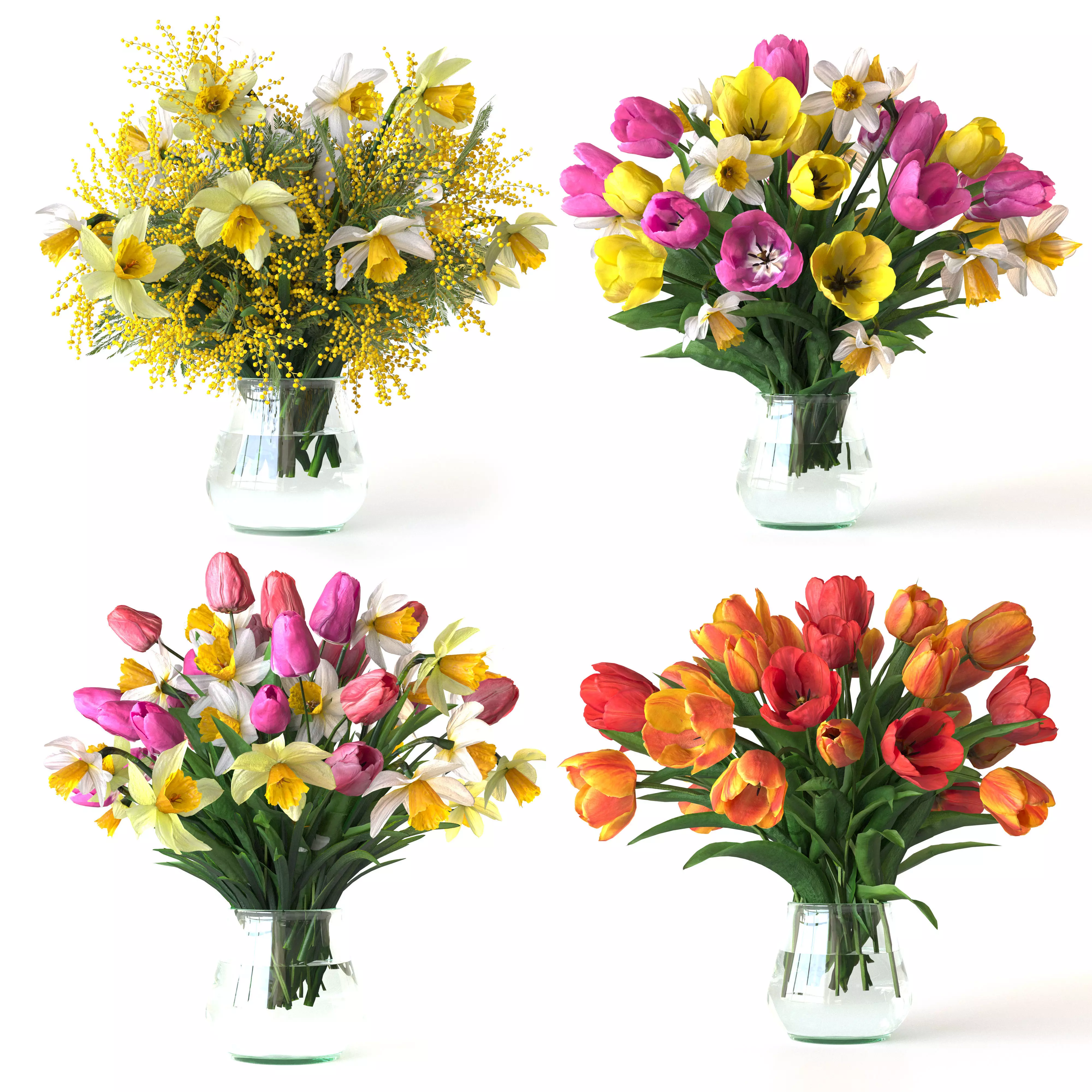Bouquets of tulips and Narcissuses 3D model_0